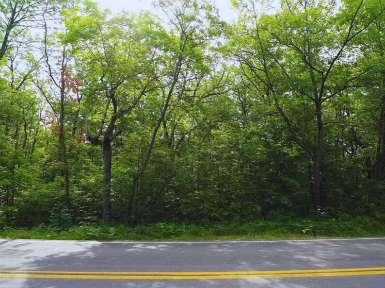 Mille Lacs .28 Acres, 099680750 (50% Swamp) Double Lot L - Corner Tee Time and Bogie Bay, Garrison, MN 56450